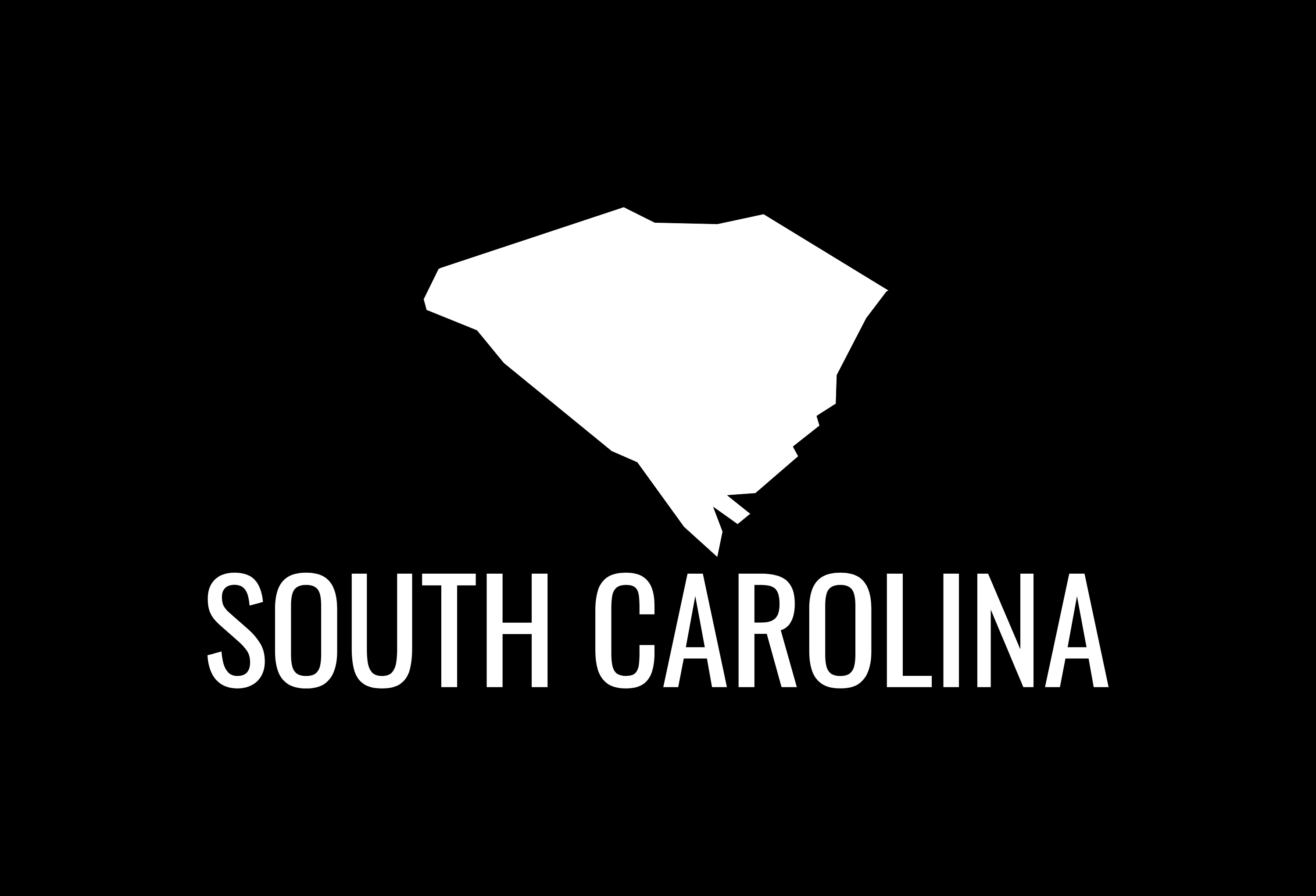 South Carolina State Map Car Decal - Permanent Vinyl Sticker for Cars, Vehicle, Doors, Windows, Laptop, and more!